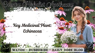 Key Medicinal Plant: Echinacea: The Purple Coneflower of Immunity and Healing