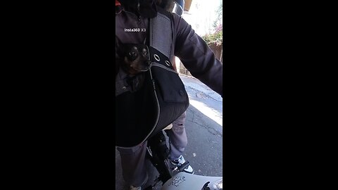 The whole household on the bike today