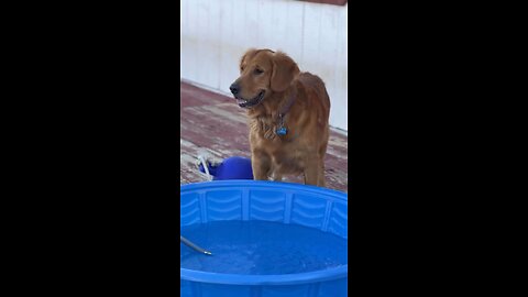 Dear Diary… I saved the floaty today 🛟