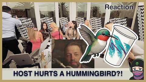 TRAGIC: Host Injures Hummingbird in Dating Talk Podcast Chaos - Live Reaction