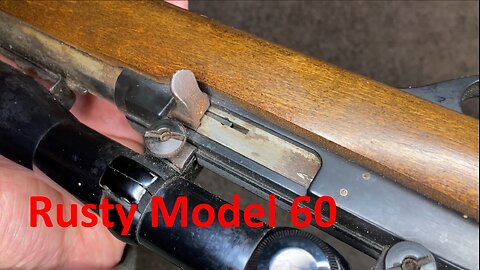 Glenfield/Marlin Model 60 - Rust Conversion/Conservation