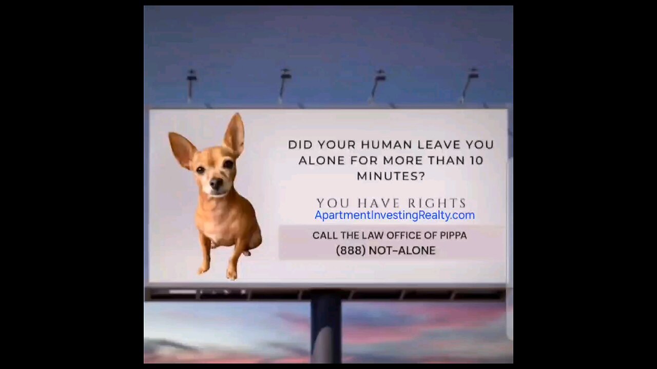 You Have Rights 🥰🐶
