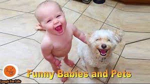 "Funny Babies Playing with Dogs Compilation 🐶👶😂"
