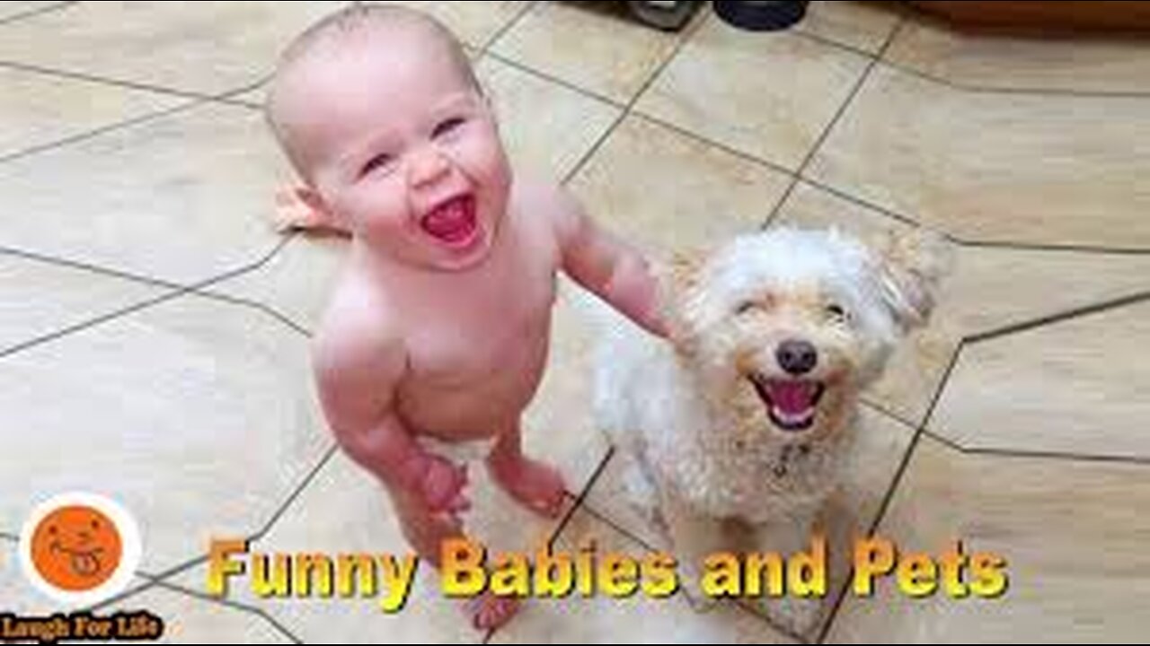 "Funny Babies Playing with Dogs Compilation 🐶👶😂"