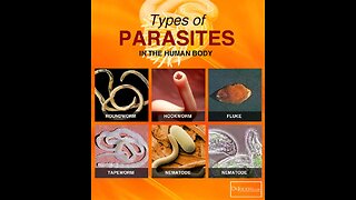 🜏 Parasites: The Hidden Cause of Sickness They Don’t Want You to Know