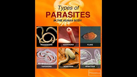 🜏 Parasites: The Hidden Cause of Sickness They Don’t Want You to Know
