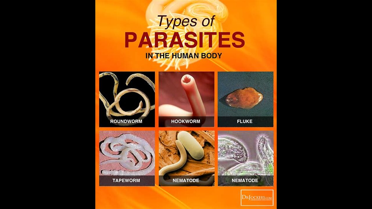 🜏 Parasites: The Hidden Cause of Sickness They Don’t Want You to Know