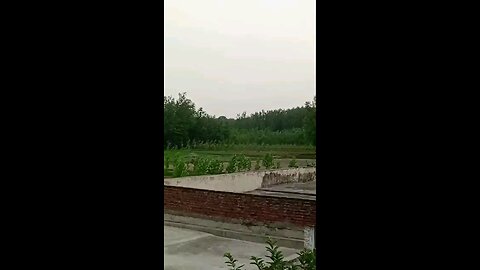 satisfying Video