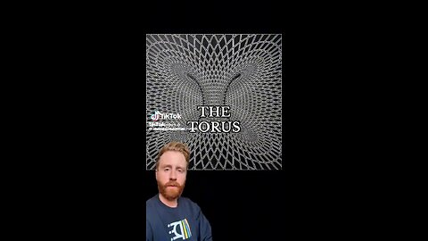 Natures Inherent Shape The Torus