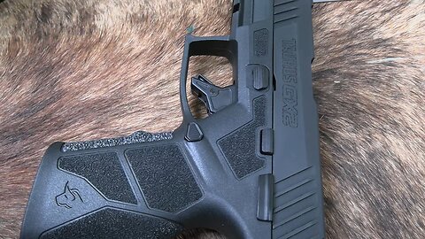 Taurus GX2