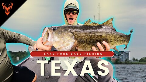 Chasing Monsters! | Lake Fork Bass Fishing | Old Gina - 9lbs
