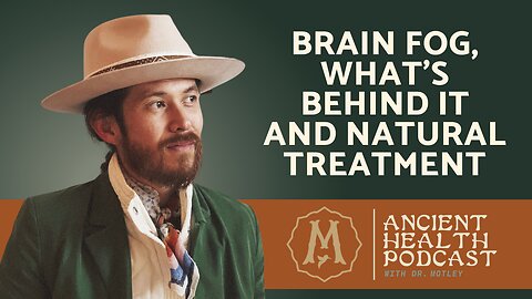 408: Brain Fog, What’s Behind It and Natural Treatment {Repost}