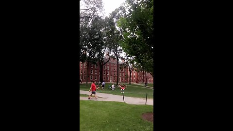 Harvard Campus "it is incredible how diverse the students are