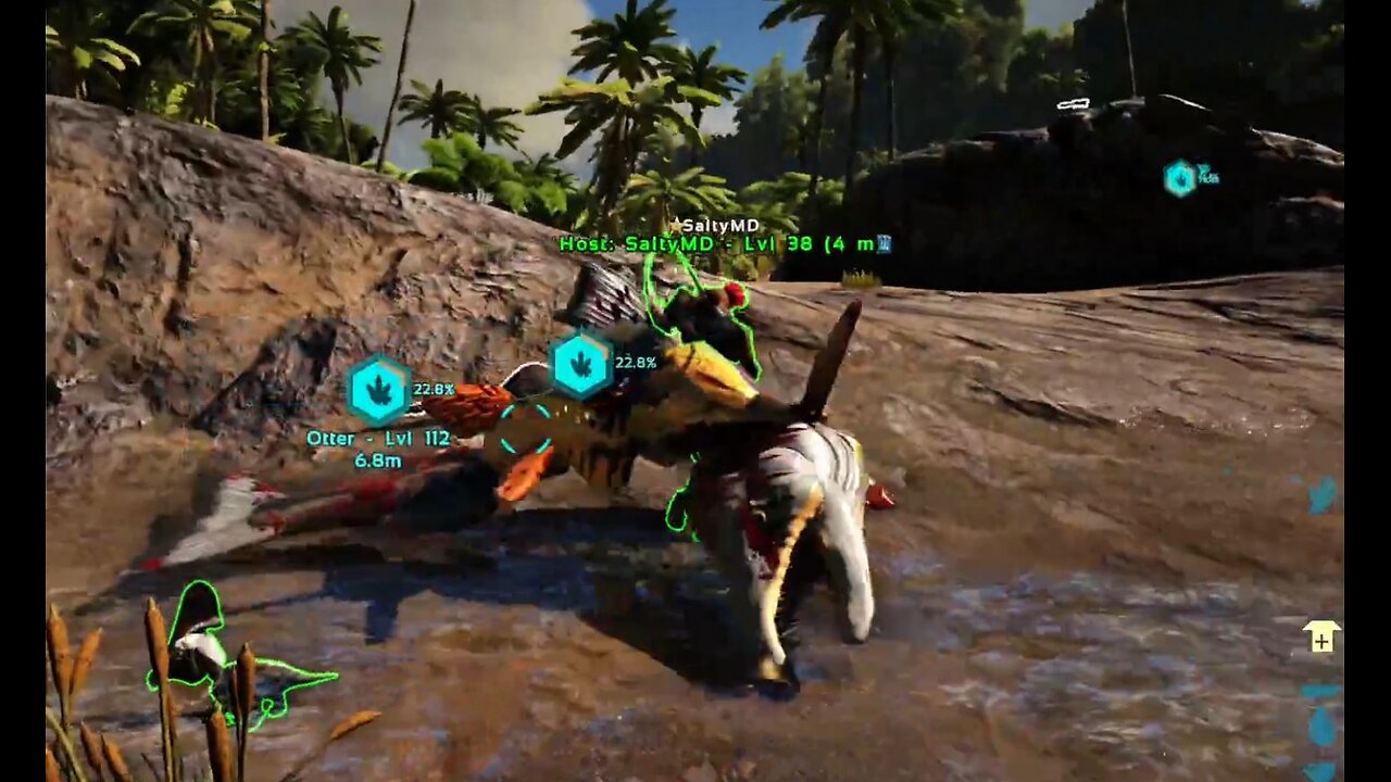 Ark Take the Fish--s. 1 ep. 11