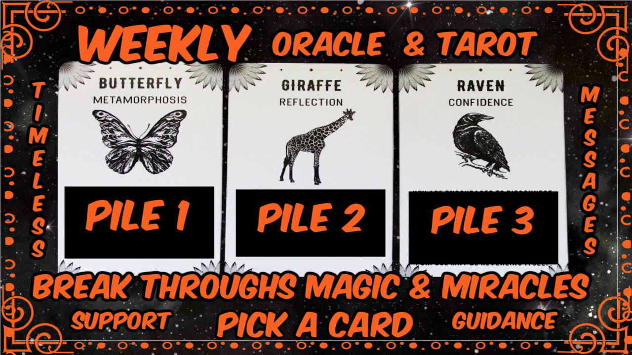 Pick A Card Oracle & Tarot🕛Timeless Messages From The Universe 🌌 Weekly Guidance & Support😄🦄🌈💎🍀