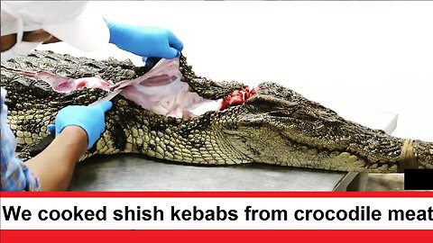 We sliced and cooked shish kebabs from crocodile meat