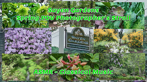 Sayen Gardens - POV Spring Photographer's Stroll - ASMR Classical Music