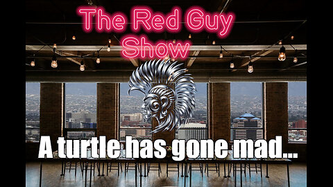 A turtle has gone mad...
