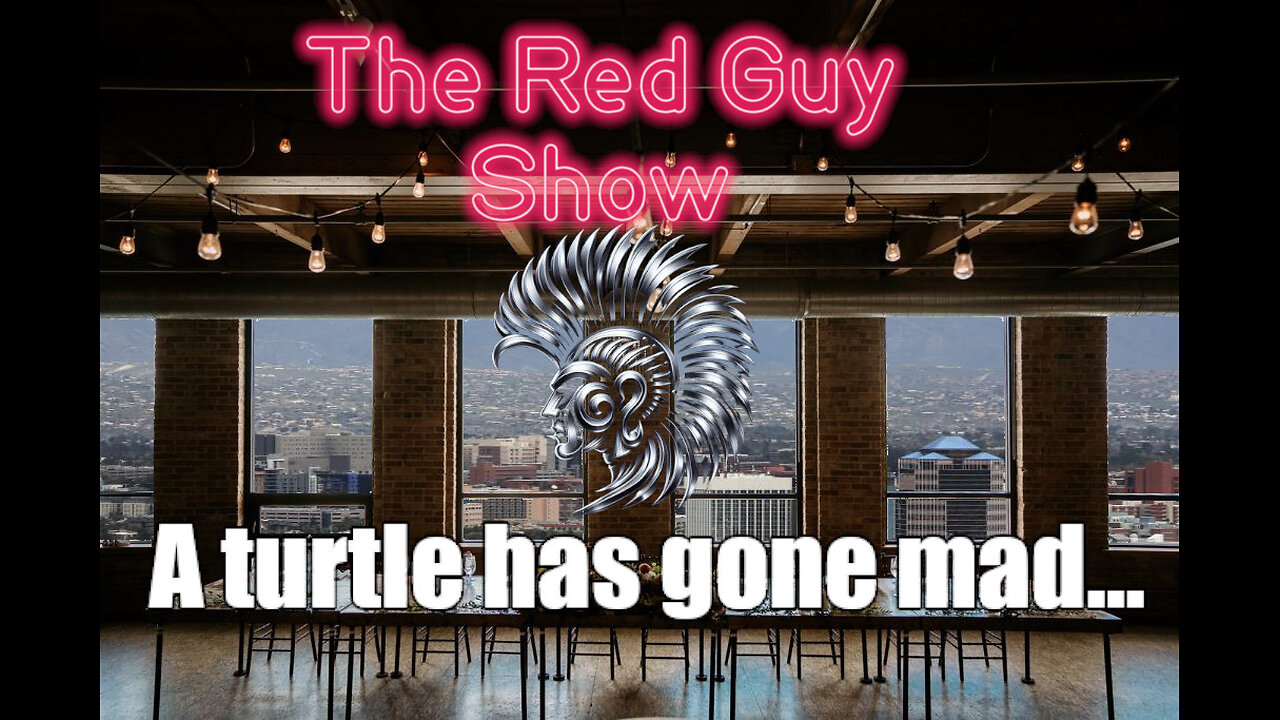 A turtle has gone mad...