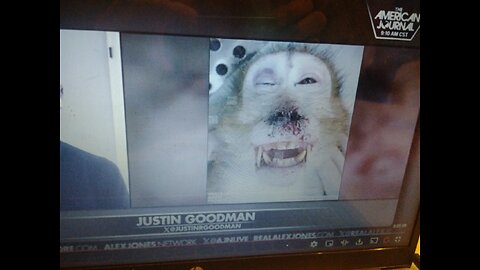 The Alex Jones Show (01/29/2026)