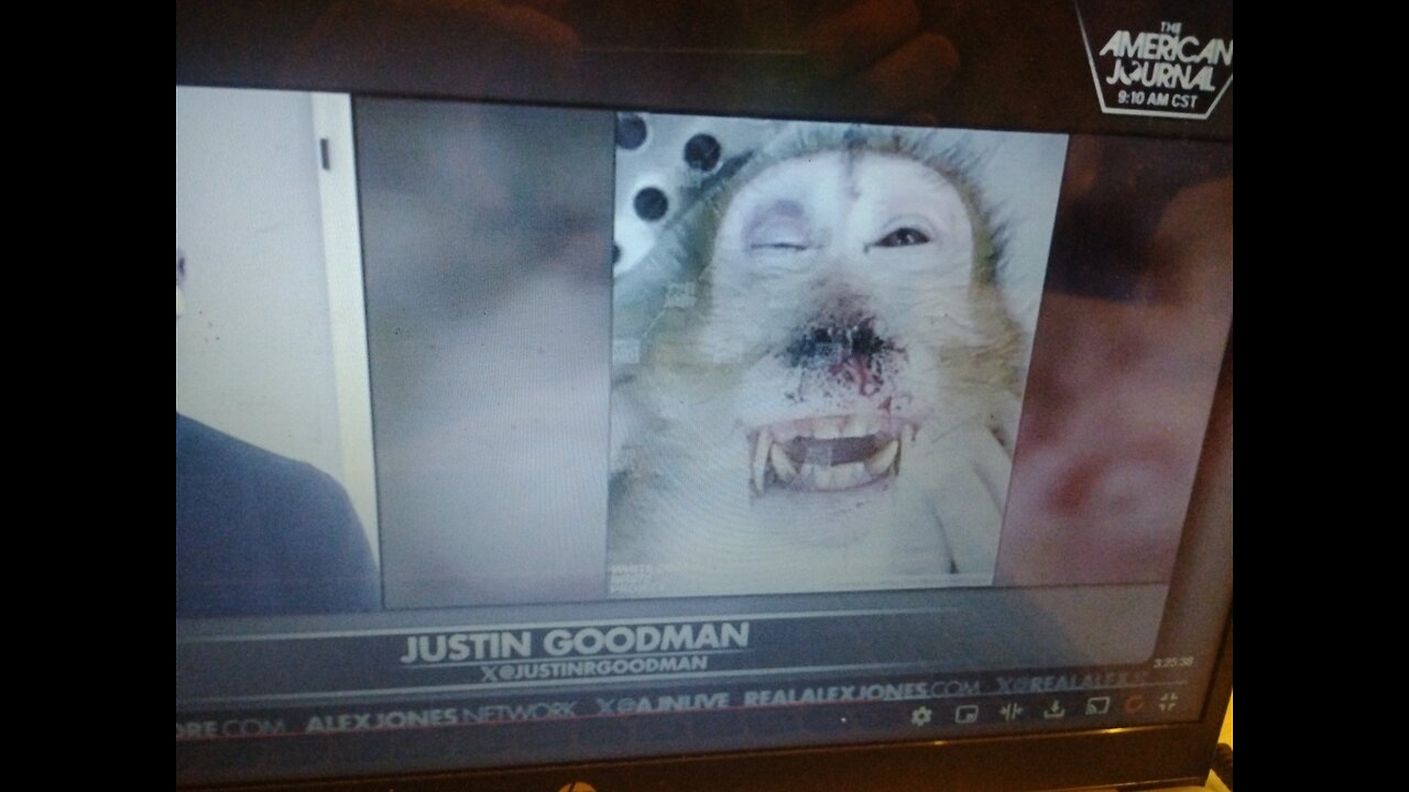 The Alex Jones Show (01/29/2026)