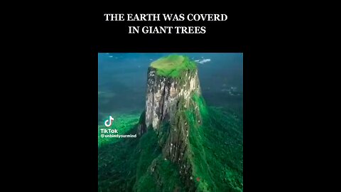 THE EARTH WAS COVERED IN GIANT TREES! 🍿🐸🇺🇸