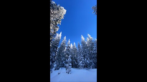 Snowboarding in Steamboat springs colorado