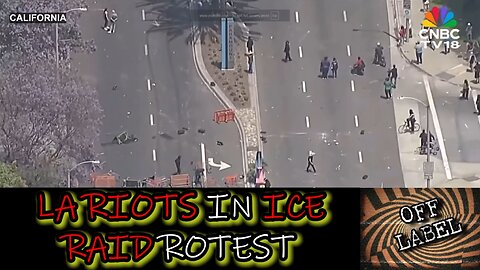 ICE Raids Spark Outrage Into Riots In Los Angeles