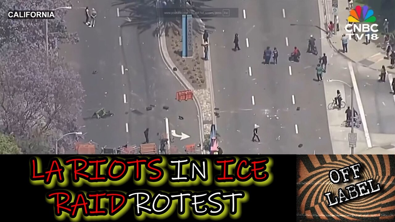 ICE Raids Spark Outrage Into Riots In Los Angeles