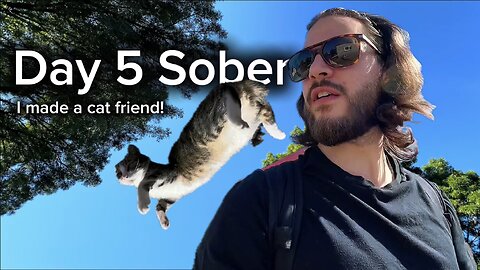 Day 5 Sober Boxing, Barking Dogs, and a Cat Friend