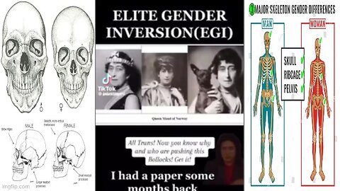 𝐏𝐇𝐎𝐄𝐍𝐈𝐗⚜️𝐃𝐑𝐀𝐆𝐎𝐍 🤔 ELITE GENDER INVERSION ⚧ HAS BEEN HIDDEN IN PLAIN SIGHT FOR DECADES❓