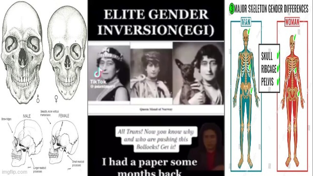 𝐏𝐇𝐎𝐄𝐍𝐈𝐗⚜️𝐃𝐑𝐀𝐆𝐎𝐍 🤔 ELITE GENDER INVERSION ⚧ HAS BEEN HIDDEN IN PLAIN SIGHT FOR DECADES❓