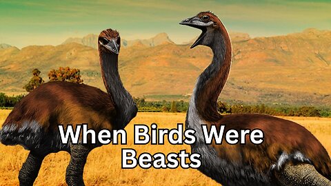 When Birds Were Beasts: The Story of Vorombe Titan