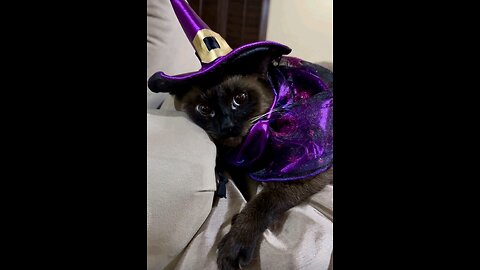 LECTURA TAROT ENERGIAS GENERAL AMOR TRABAJO ECONOMIA NEGOCIOS✨️✨️🪄🪄🔮🔮🔮