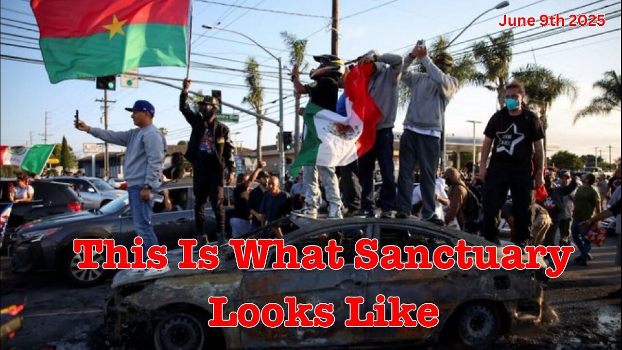 This Is What Sanctuary Looks Like
