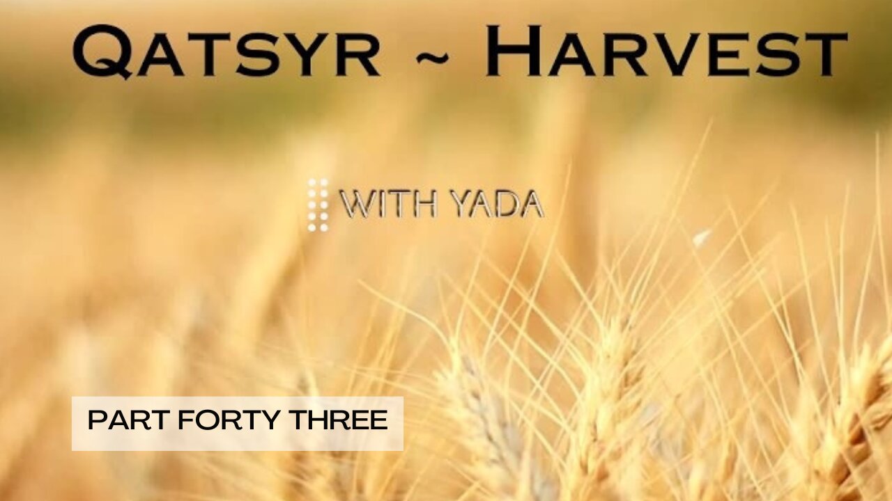 Qatsyr ~ Harvest Part Forty Three 10 April 2025