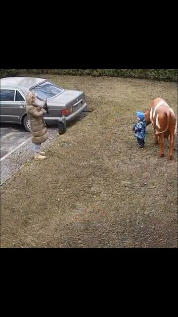 La estatua de una vaca creó ‘magia’ que un niño nunca olvidará