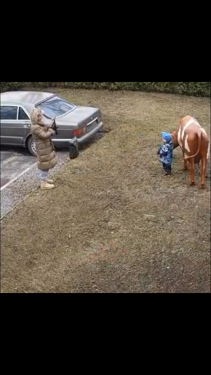 La estatua de una vaca creó ‘magia’ que un niño nunca olvidará