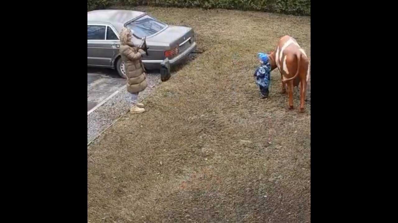 La estatua de una vaca creó ‘magia’ que un niño nunca olvidará