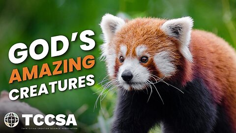 God's Amazing Creatures - Dr. Joseph Kezele
