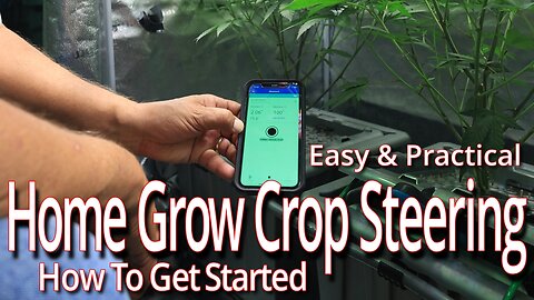 Easy Home Grow Crop Steering For Massive Yields