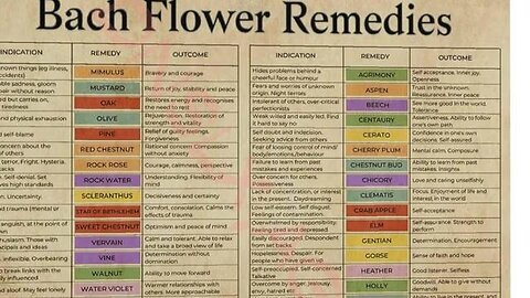 Bach Flower remedies with Lady Eden of York GOT ANXIETY? STRESS? LISTEN UP