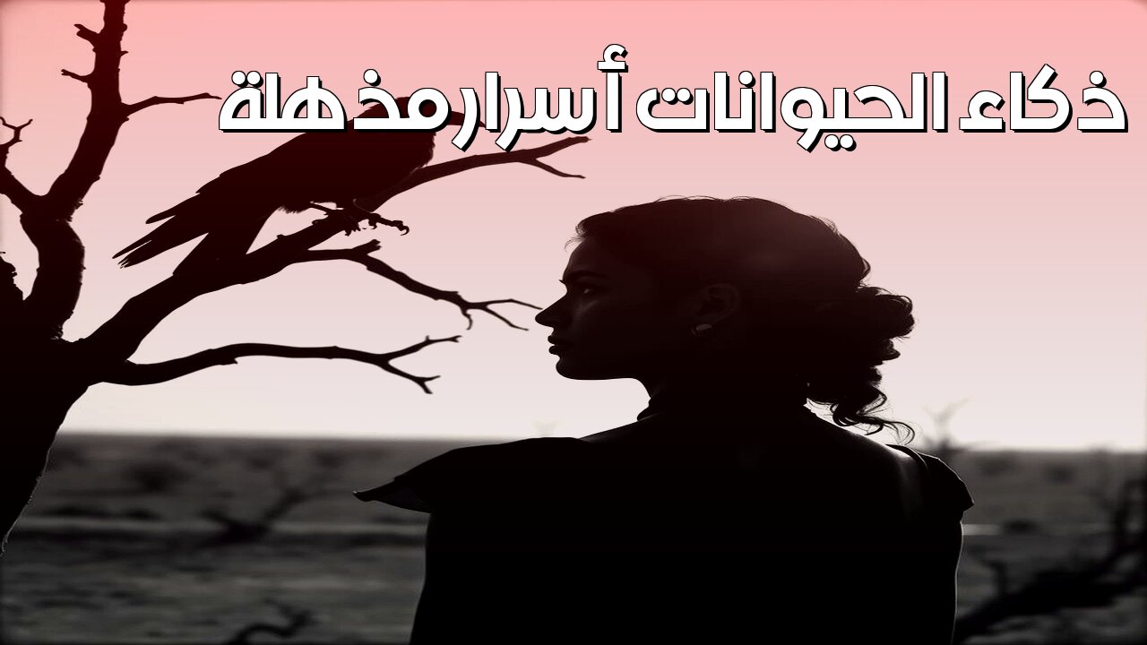 أول مرة تُكشف: ذكاء الحيوانات ! أسرار مذهلة #ذكاءالحيوان #وثائقي #طبيعة