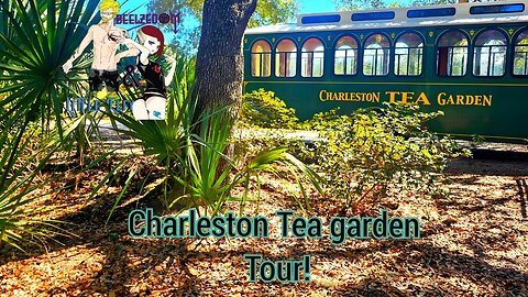 CHARLESTON TEA GARDEN TOUR