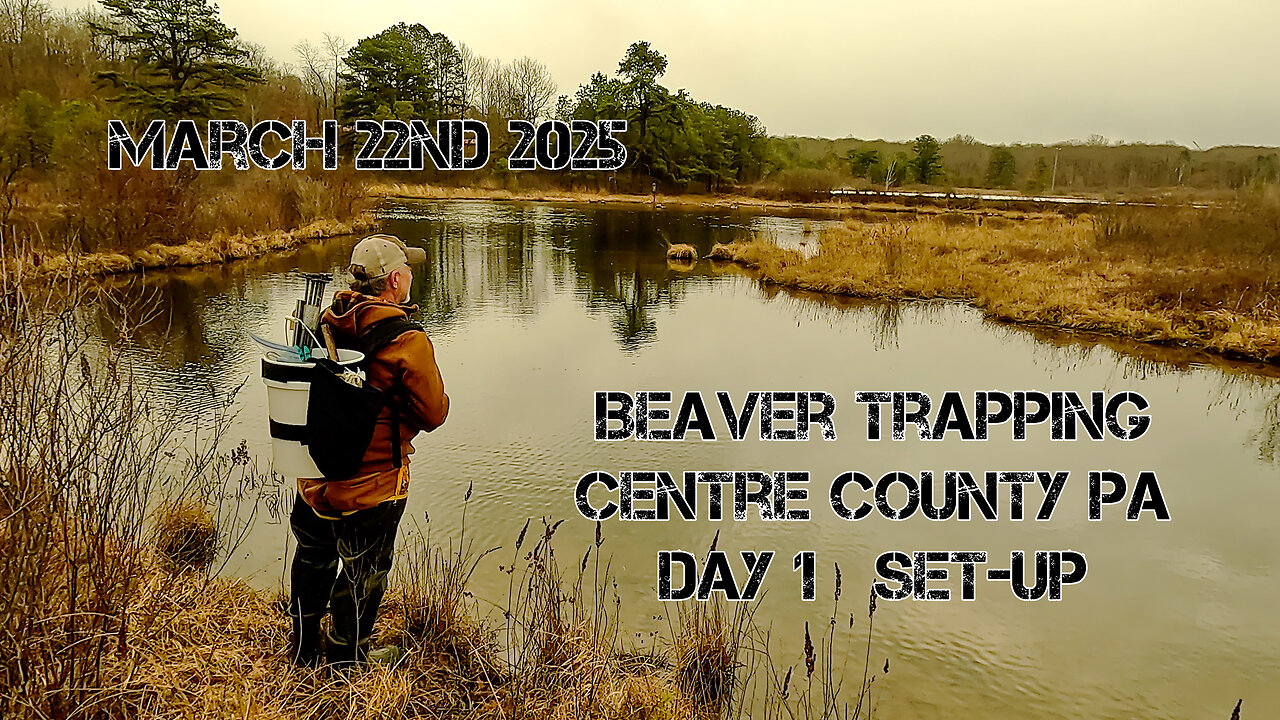 Beaver Trapping Day 1 Setup