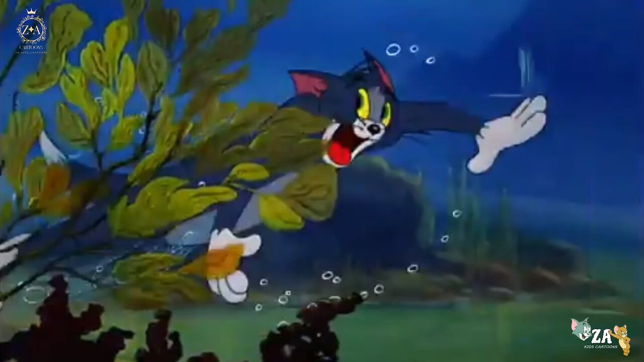 Tom and Jerry Cartoons