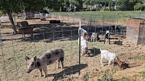 Graham Family Farm NW: 9:00 AM July 28 2025