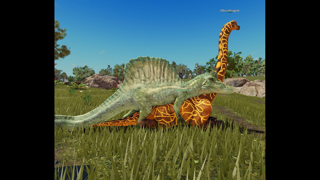 FIRST TIME BRACHI dino life