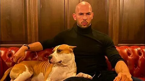 Andrew Tate Body Language Part 3 #andrewtate #tristantate #bodylanguage
