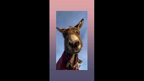 अबे कौन है